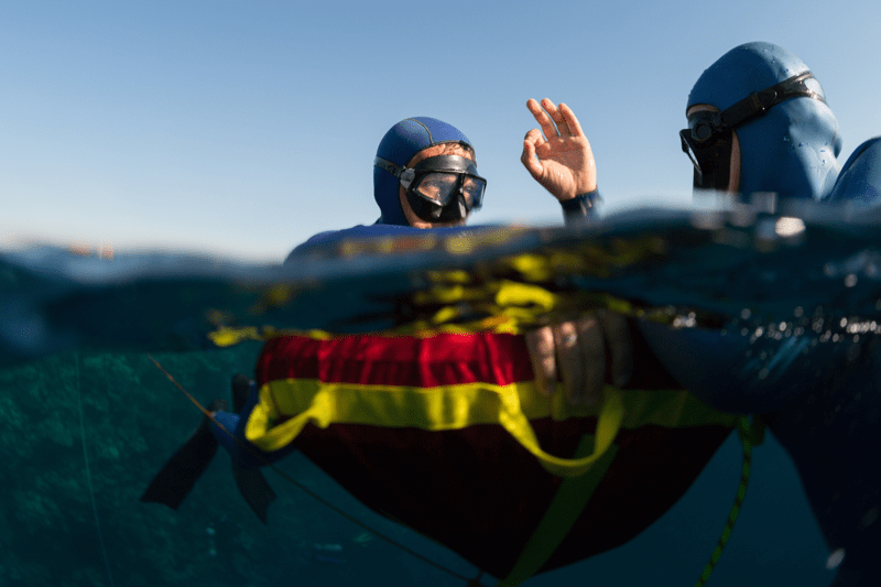 Freediving Guide in Thailand image