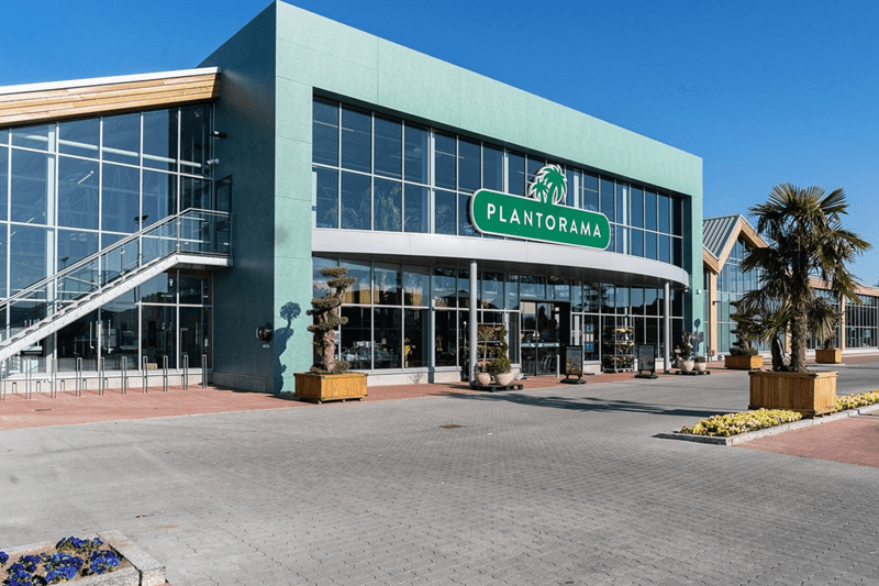 Kategoridirektør til Plantorama image