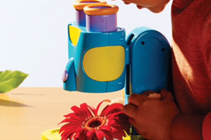 Preschool Teachers image