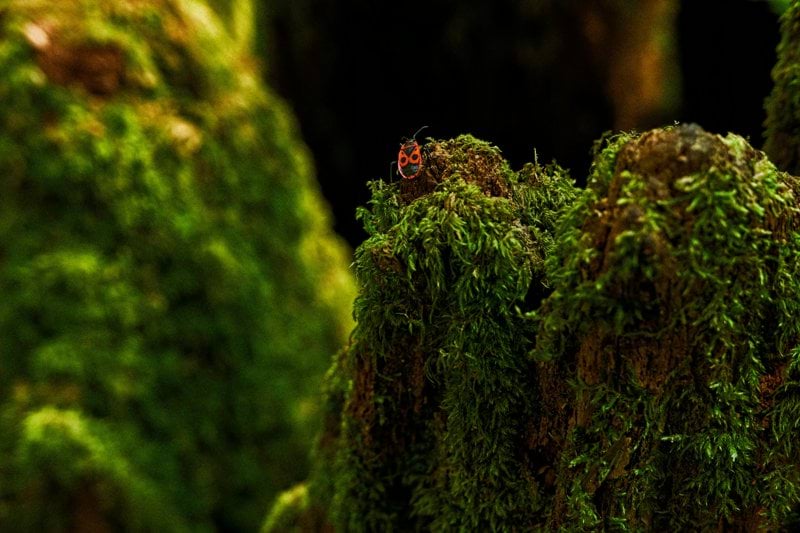 Docente Tiempo Parcial - Curso: Ing. Geoambiental image