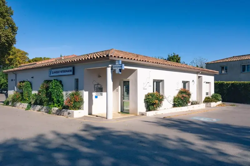 MONTPELLIER - FESCAU - AUXILIAIRE SPECIALISE VETERINAIRE EN CDI (H/F) image