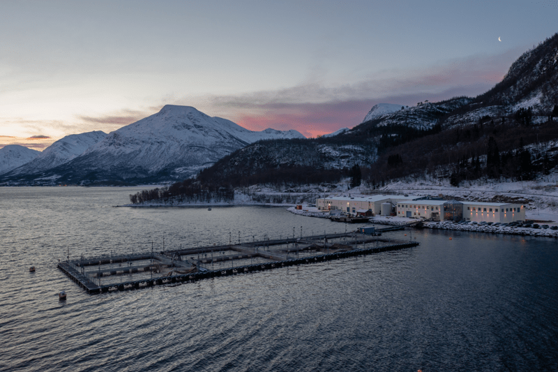 Produksjonsleder image