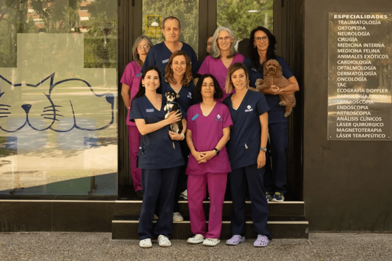 Veterinario/a Generalista Felino Clínica Romareda Zaragoza, VetPartners image