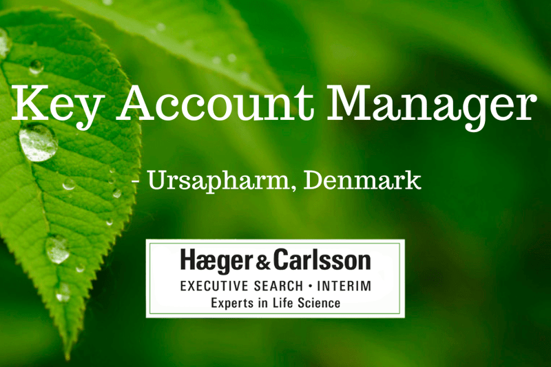 Key Account Manager, Denmark - URSAPHARM image