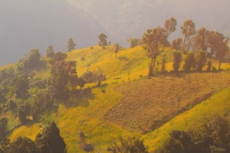 Traceability & Marketing Manager - Mercanta image