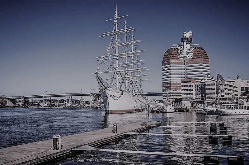 Transportledare import/export image
