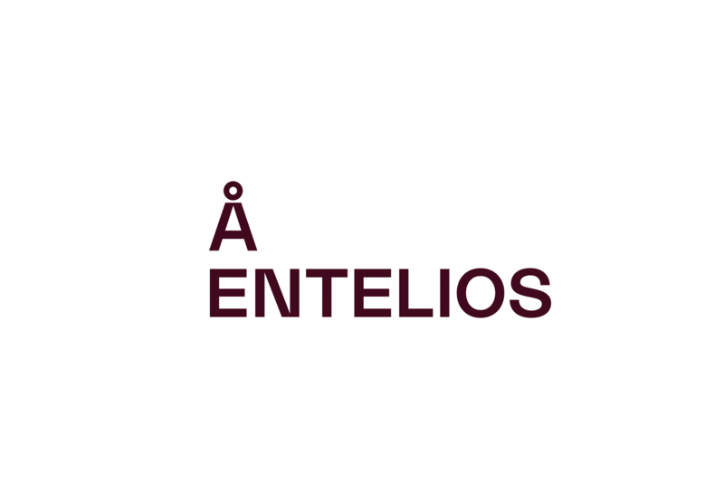 Senior Key Account Manager / Team leader - Entelios Sweden AB image