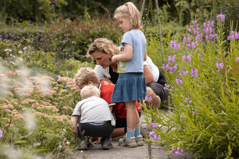 Pedagogisch professional Flexpool image