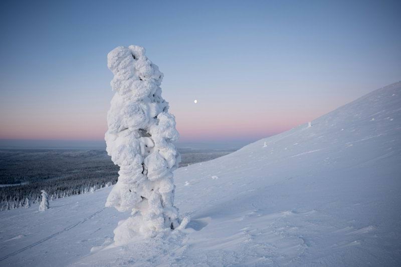 Keikkatarjoilijoita Kemiin image