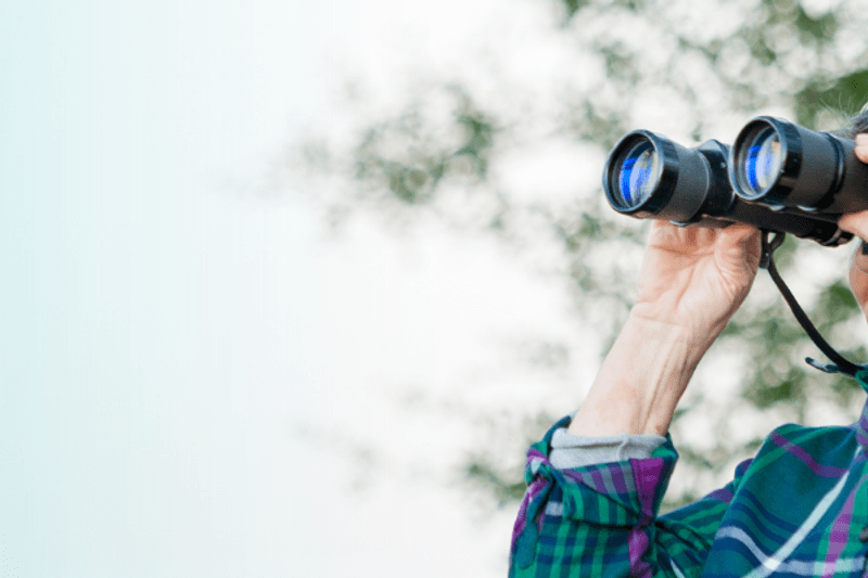 Johtava linnustoasiantuntija image