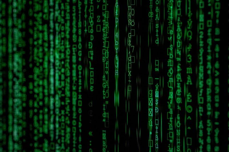 Responsable d'activités - Référent Data image