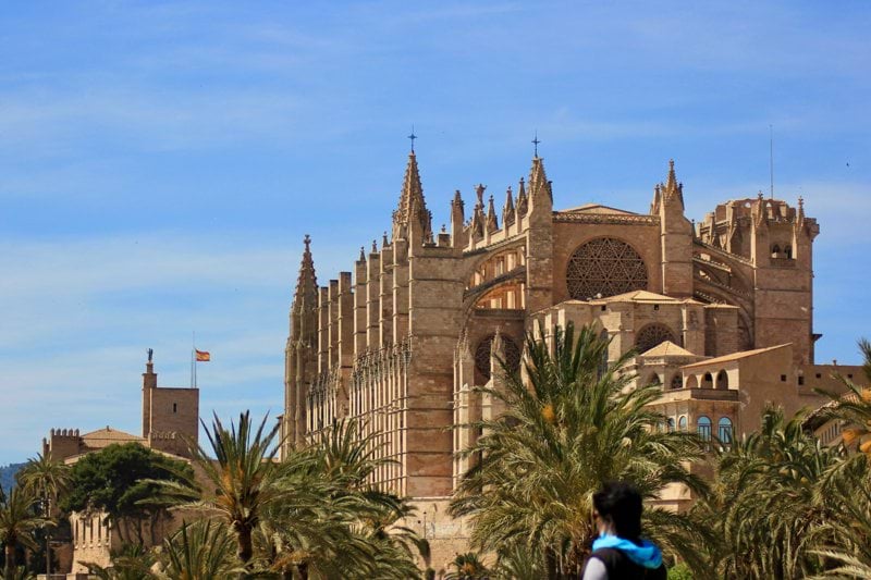 B2B-Selger - Palma image