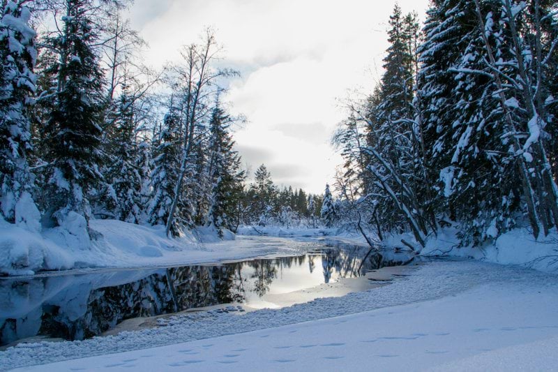 Säljare för Skellefteå Kraft, kontor i Umeå (lönespann 27.000-45.000) image