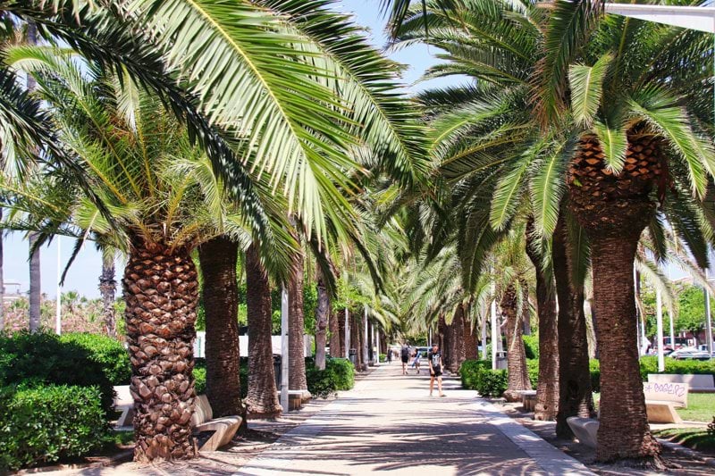 Sales Representative - Swedish - Valencia image