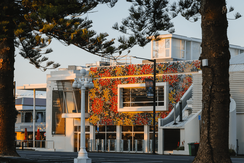 Collection Assistant (Hawke’s Bay’s Museum) image