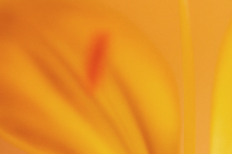 Account Executive – New Business image