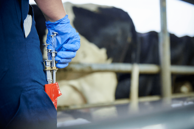 AB Technician Training - Taranaki image
