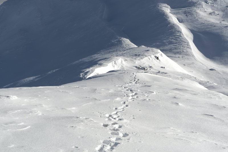 Requirement Analyst image