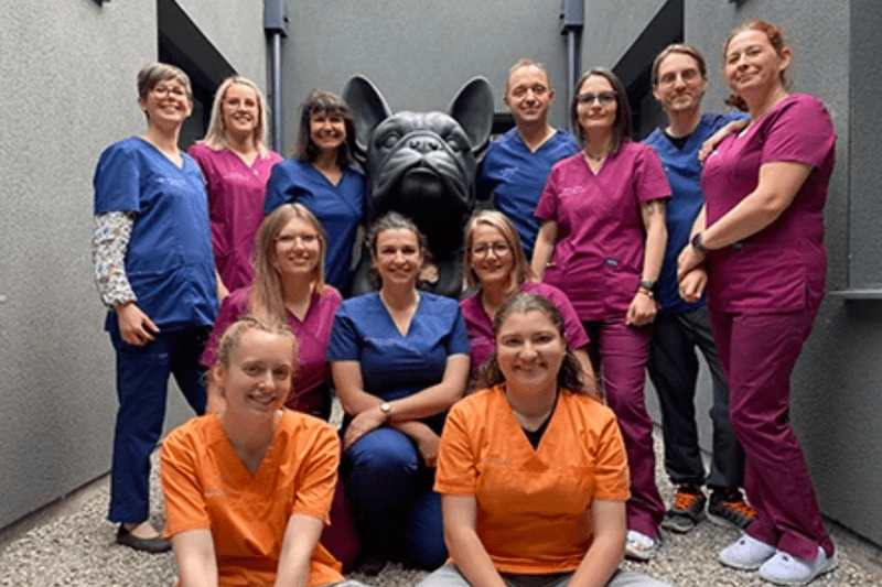 OIGNIES - REPUBLIQUE - VETERINAIRE CANIN CDI (H/F) image