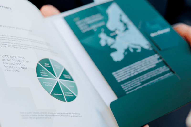 Executive Consultant - Baltics image
