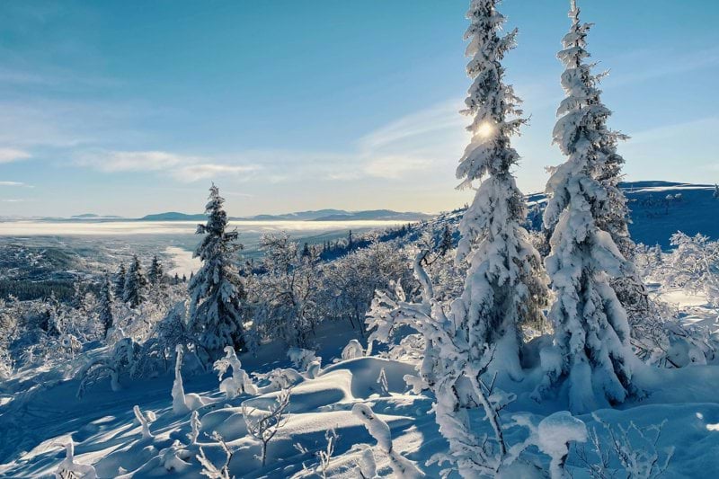 Enhetschef till måltidsverksamhet image