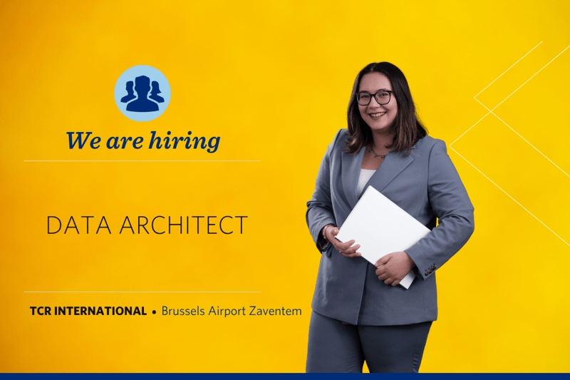 Data Architect image