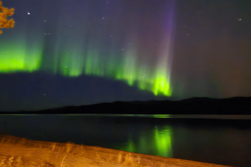 Executive Director image