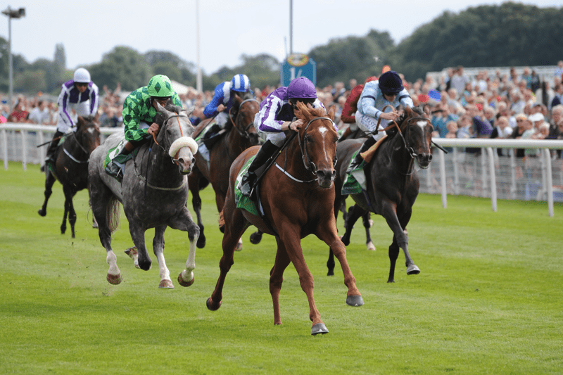 Register your interest to work at one of our Yorkshire Racecourses! image