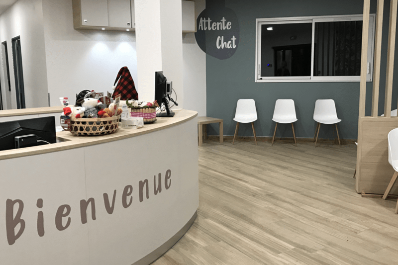 ALLIAVET - AUXILIAIRE SPECIALISE.E VETERINAIRE - CDI image