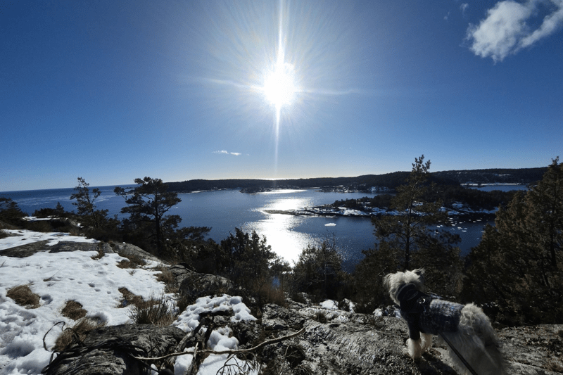 Vil du jobbe som regnskapsfører i et av Norges fineste kystområder? image