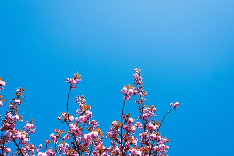 Personlig assistent till kvinna i Kalmar image