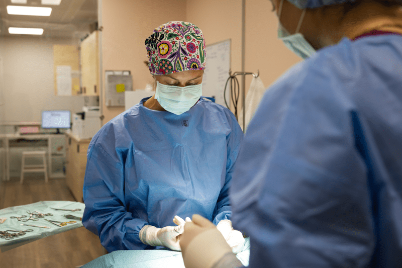 Veterinærer søkes til Petrus Tromsø image