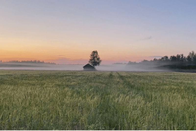 Kokkeja Hailuodon LUOVOon kesäksi 2025 image