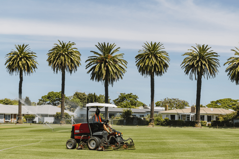Turf Curator - Leading Hand image
