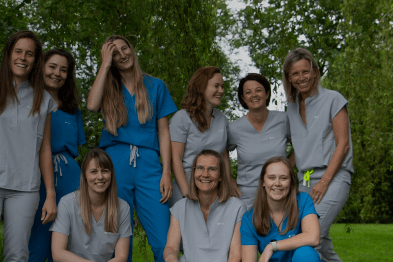 Dierenarts - Vets & Co image