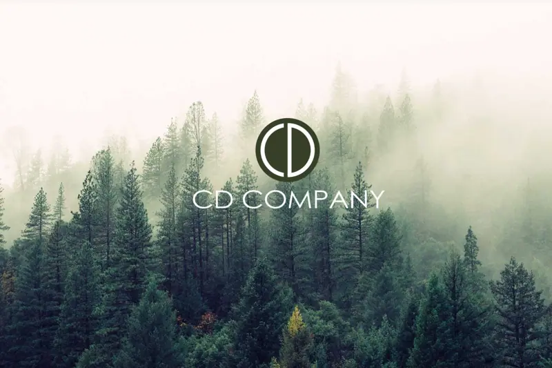 LEDER MED POTENTIALE TIL AT BLIVE CEO image