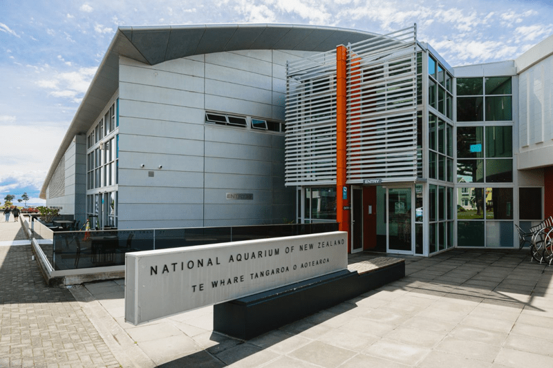 Visitor Service Team Member image