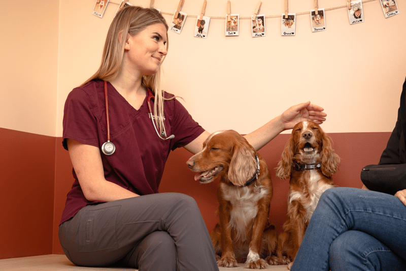 Klinikkassistent søkes til Petrus Tromsø! image