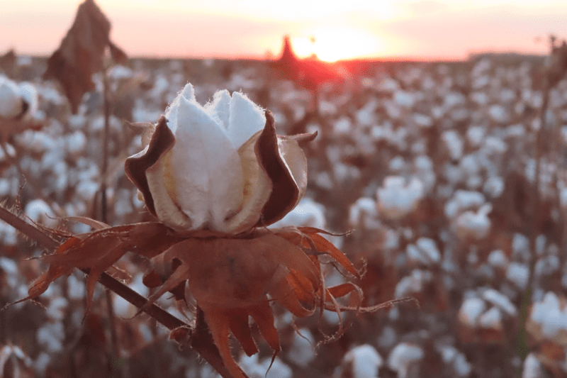 Supply Chain Intern image