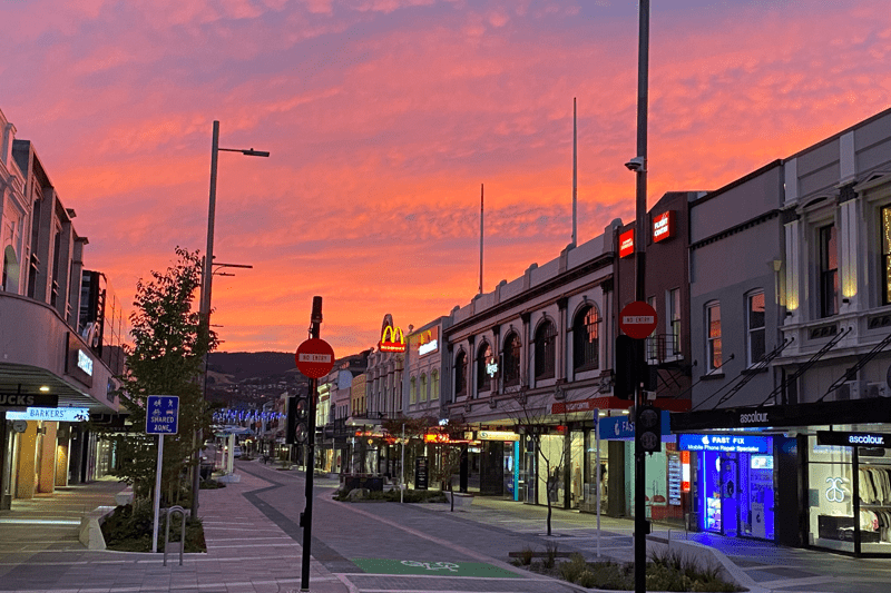 Project Manager - Dunedin image