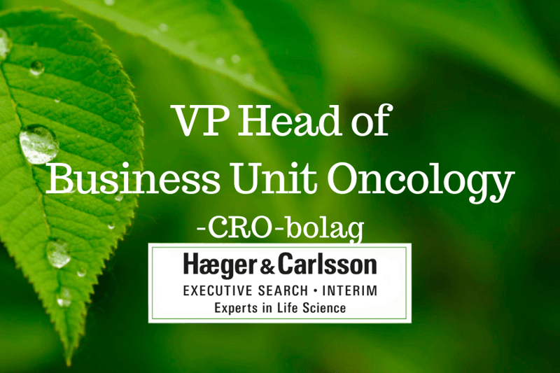 VP, Head of Business Unit Oncology - Globalt CRO-bolag image