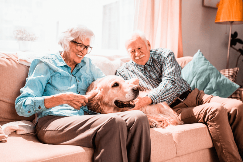 Care Assistant - Evening & Weekends image