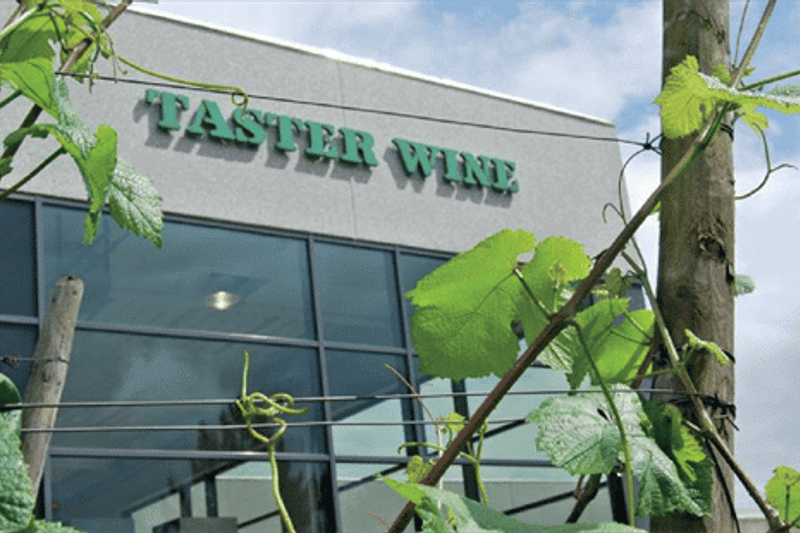 National Salgschef - HoReCa - Oskar Davidsen & Co. (Taster Wine A/S) image