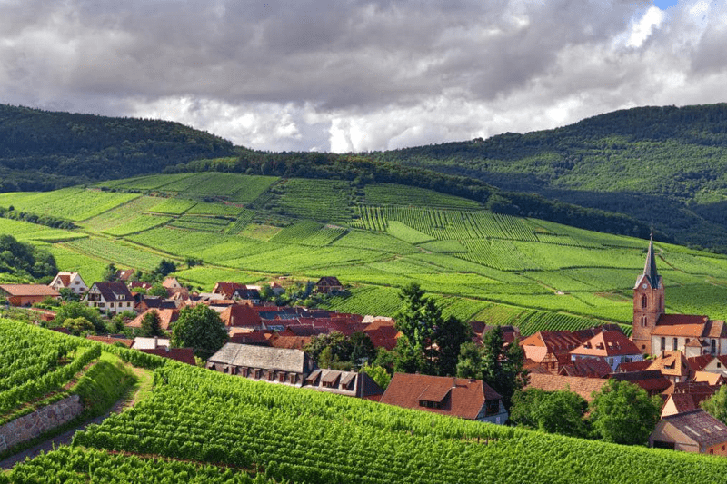 Oslo Wine School søker prosjektleder for vin- og kulinariske opplevelser image