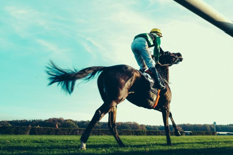 Racing - Hospitality Staff image