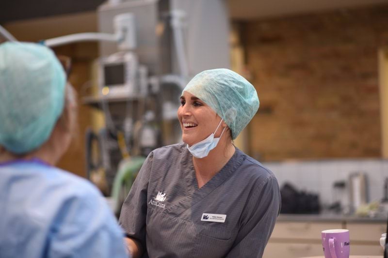 Vagtpersonale til AniCura Odense Dyrehospital image
