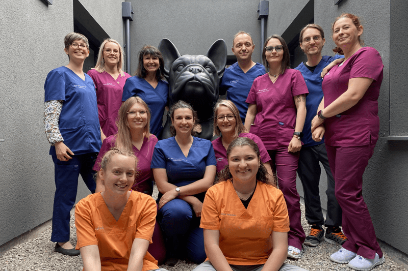 OIGNIES - REPUBLIQUE - VETERINAIRE CANIN ORIENTE CHIRURGIE EN CDI (H/F) image