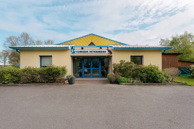 GENAS - CLINIQUE VETERINAIRE DES GENETS - VETERINAIRE GENERALISTE - CDD (H/F) image