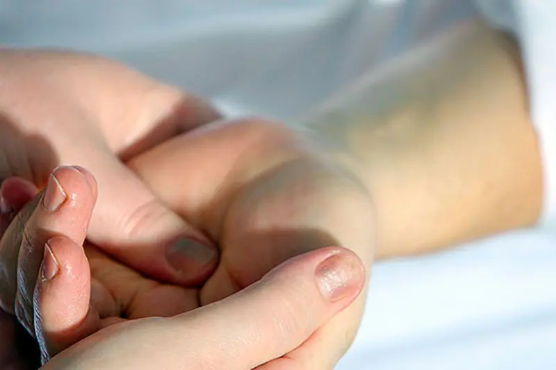 GERENTE / GERENTEA (GIPUZKOA ZAINDUZ) image