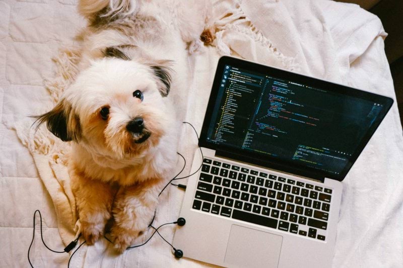 Java Developer image